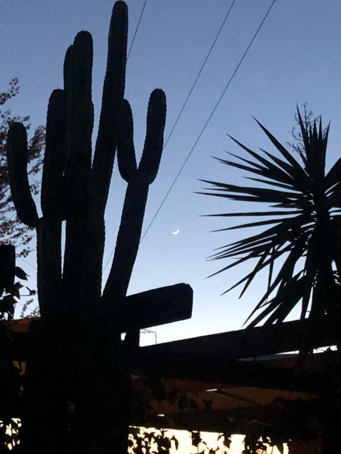 La Casita Del Cactus - Casa De Campo Con Piscina Alcalá de Guadaira Kültér fotó
